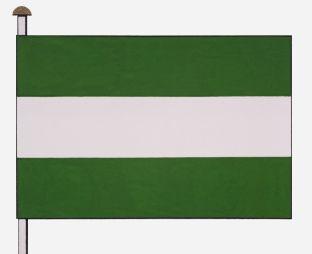 As%20vlag.jpg