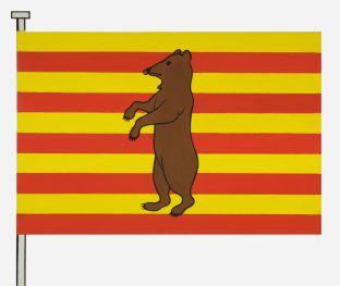 Beringen%20vlag.jpg
