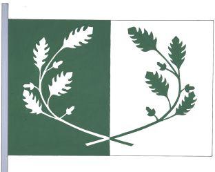 Eeklo%20vlag.jpg