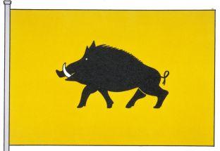 Evergem%20vlag.jpg