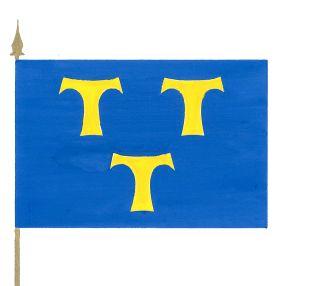 Lede_vlag.jpg