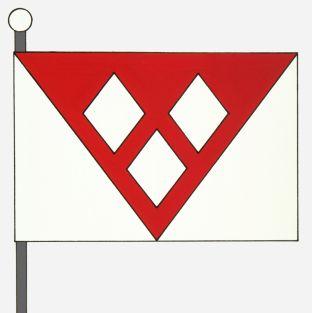 Rijkevorsel%20vlag.jpg