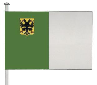 Ronse%20vlag.jpg