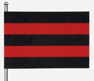 Scherpenheuvel-Zichem%20vlag.jpg