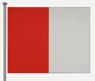 Sint-Pieters-Leeuw%20vlag.jpg