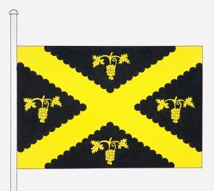 Wijnegem%20vlag.jpg